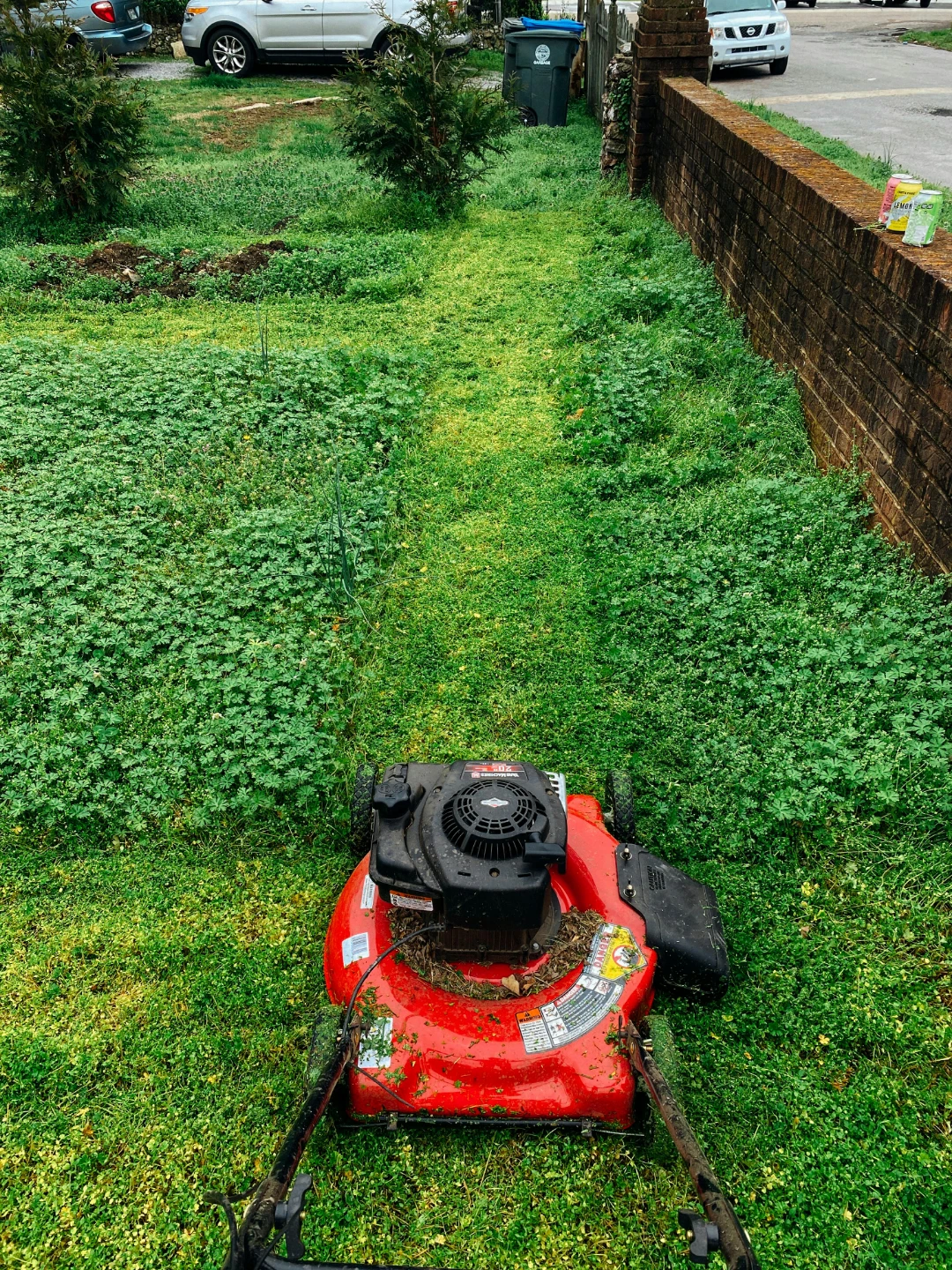 V.I.P. Landscaping Services - photo 3