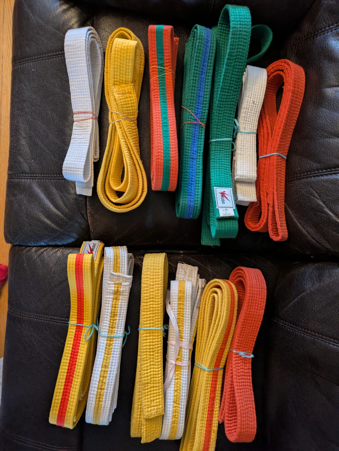 Martial arts belts