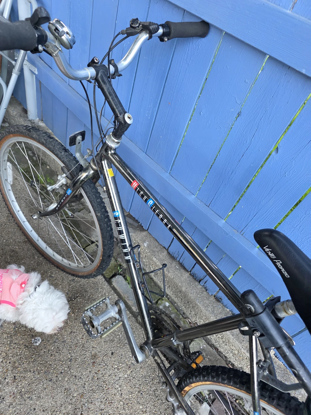 Schwinn Sidewinder Mountain Bike