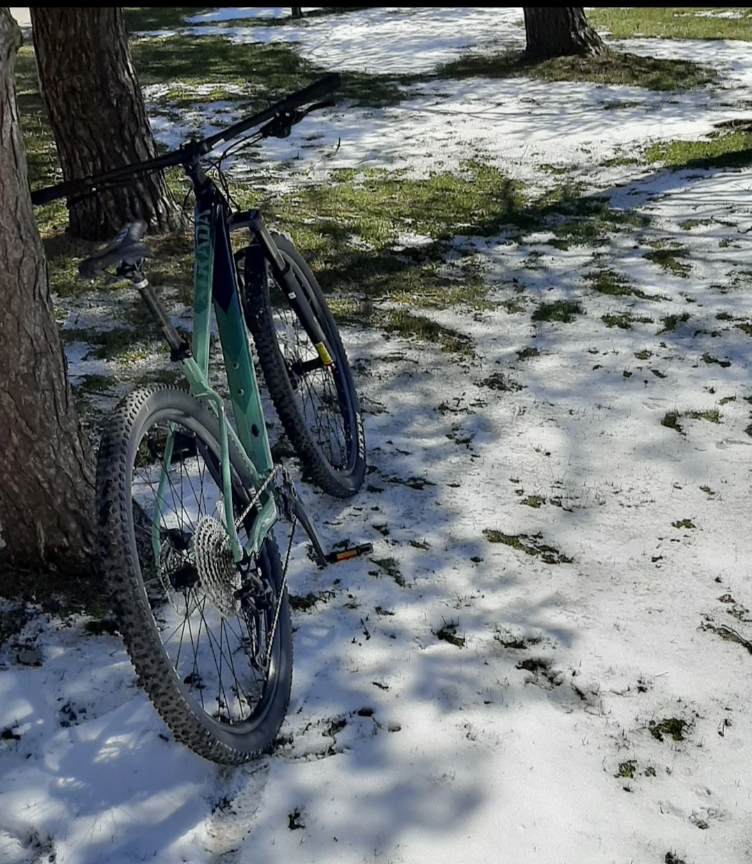 Polygon Xtrada Mountain Bike 2022/2023 - photo 2