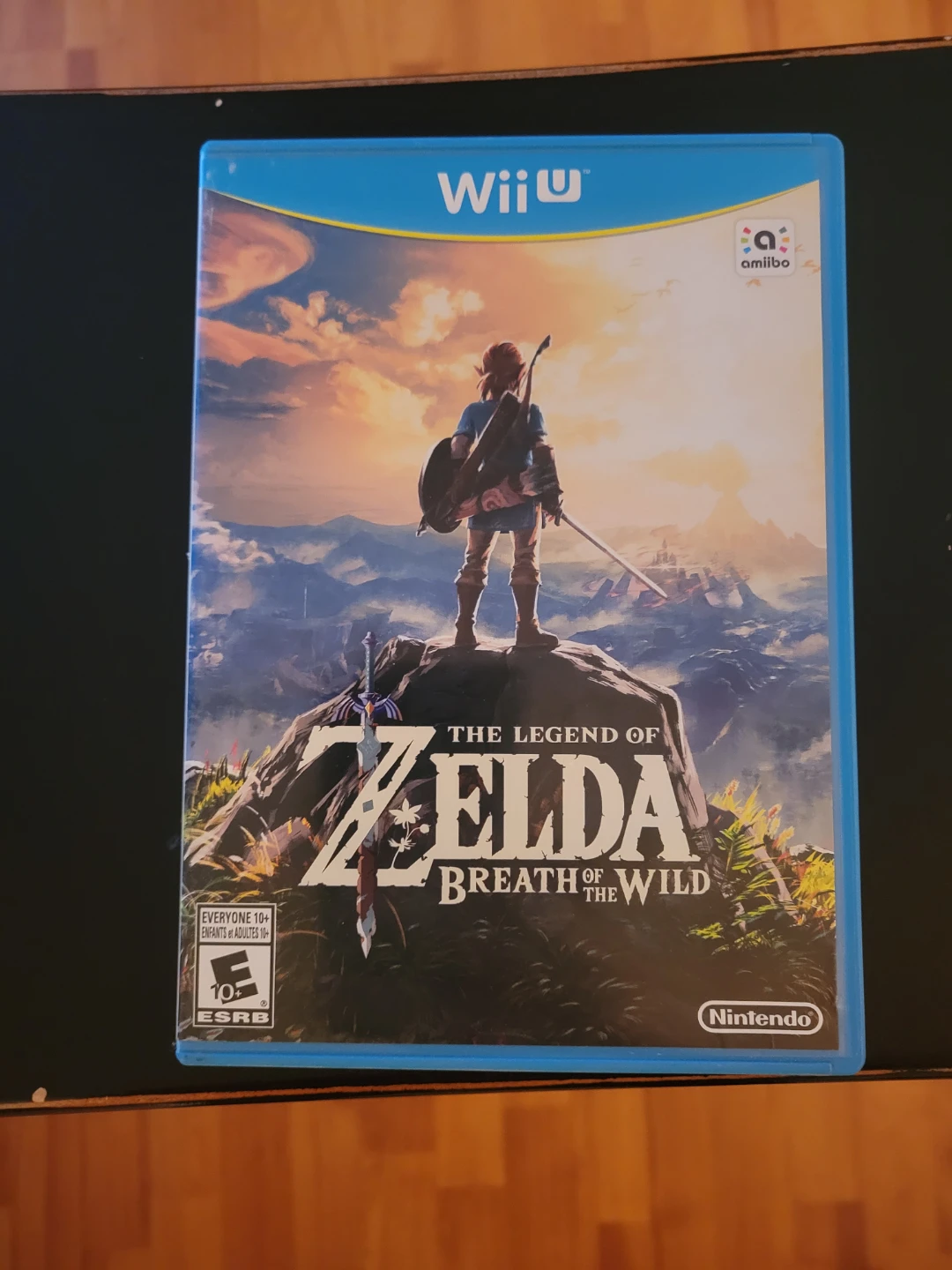 The Legend of Zelda: Breath of the Wild Wii U