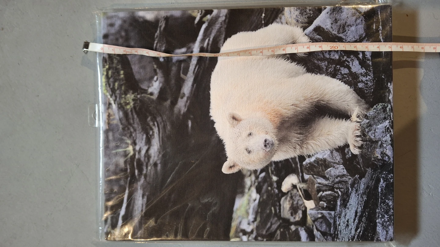 Dave Hutchison Polar Bear Art Print - photo 4