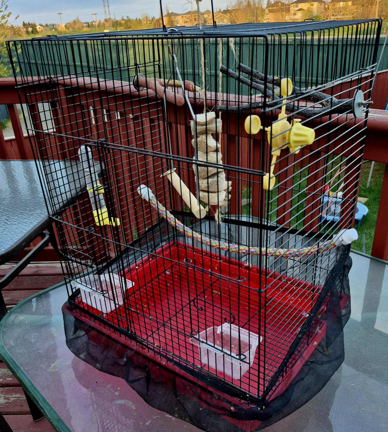 Large Birds Cage PLUS Accessories *REAL DEAL* - photo 2