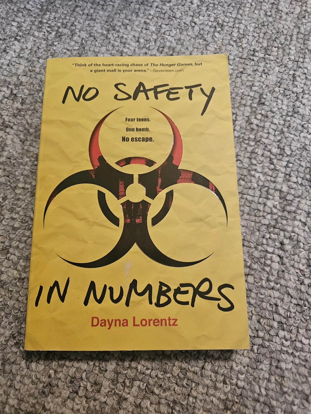 No Safety in Numbers by Dayna Lorentz