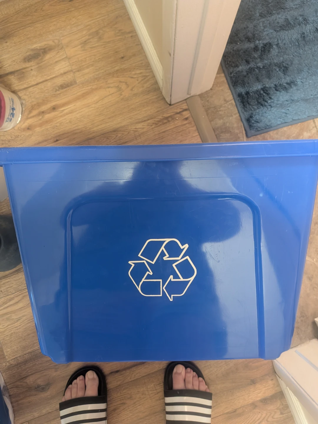 Recycling bin pick up in st Albert - photo 4