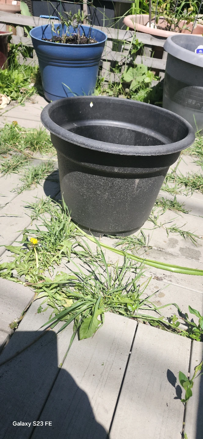 Large Black Plastic Planter Pot - photo 2