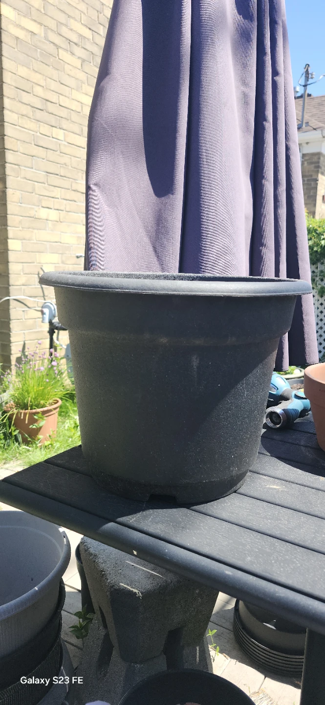 Large Black Plastic Planter Pot