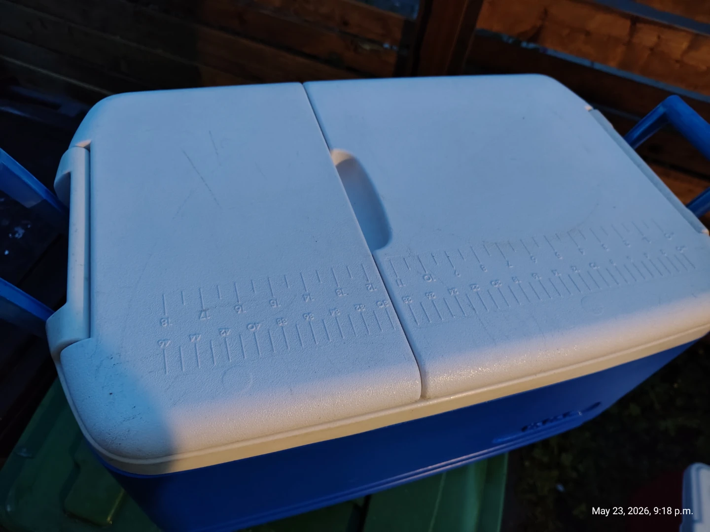 IGLOO 50 Qt Fishing Cooler with Ruler 🥕 - photo 2