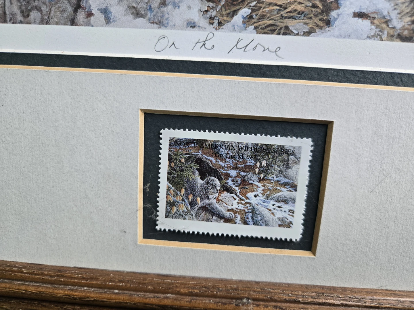 Framed "On The Move" Lynx Print by Paul Rankin (1995) - photo 3