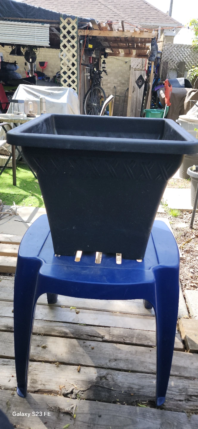 Black Square Plastic Planter Pot. $11  EACH