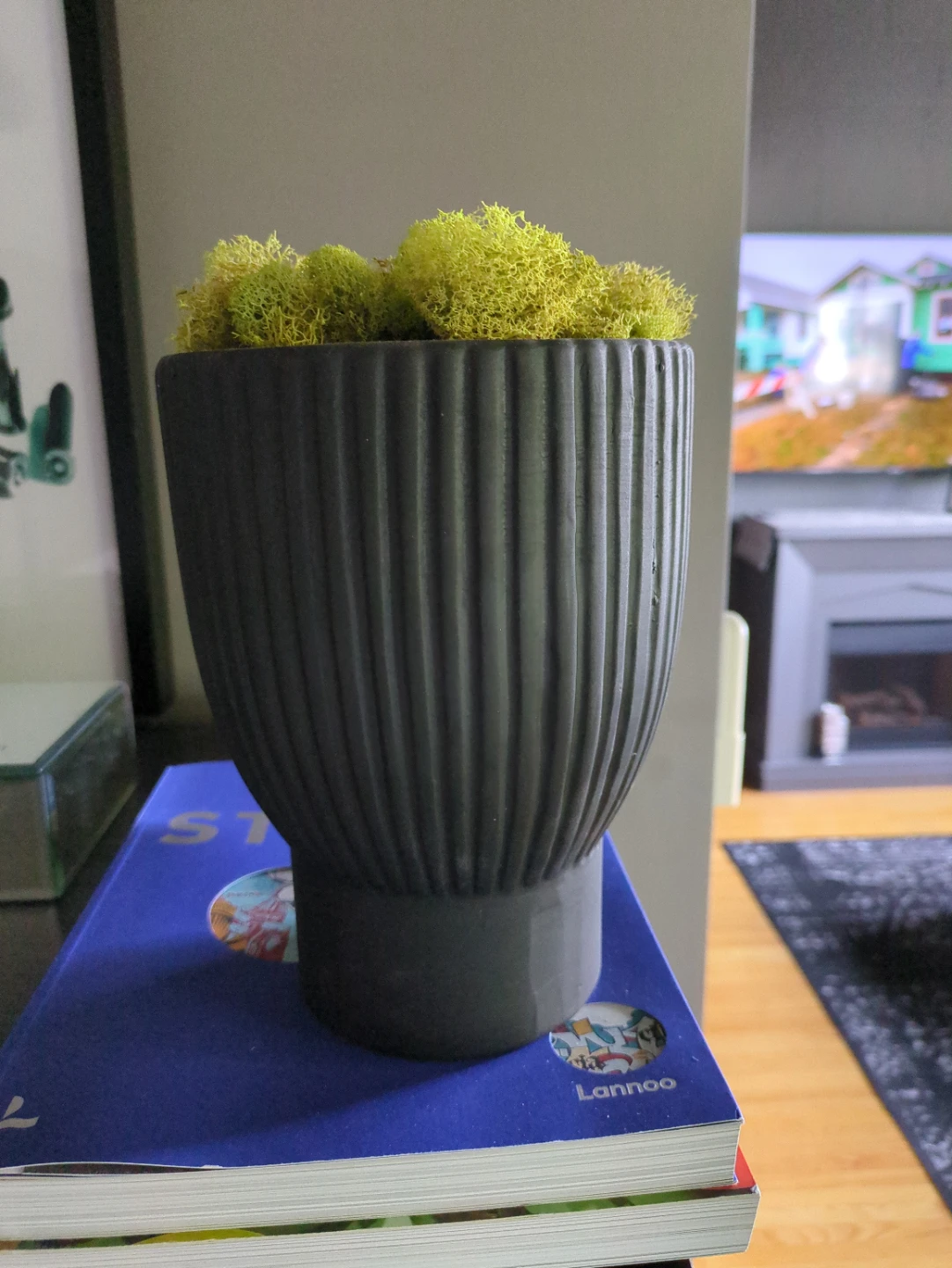 Black Fluted Planter with Preserved Moss