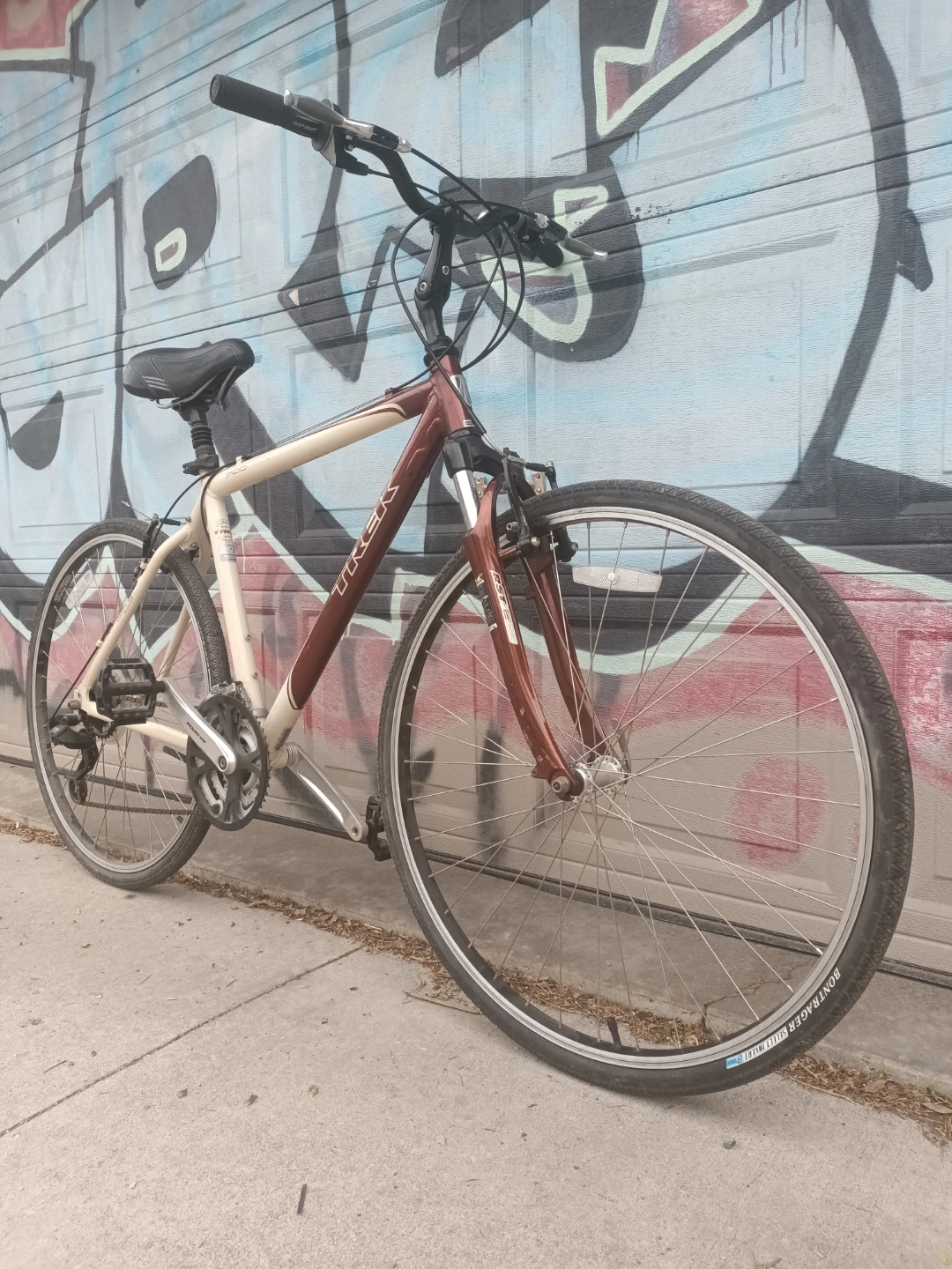 Trek Bike