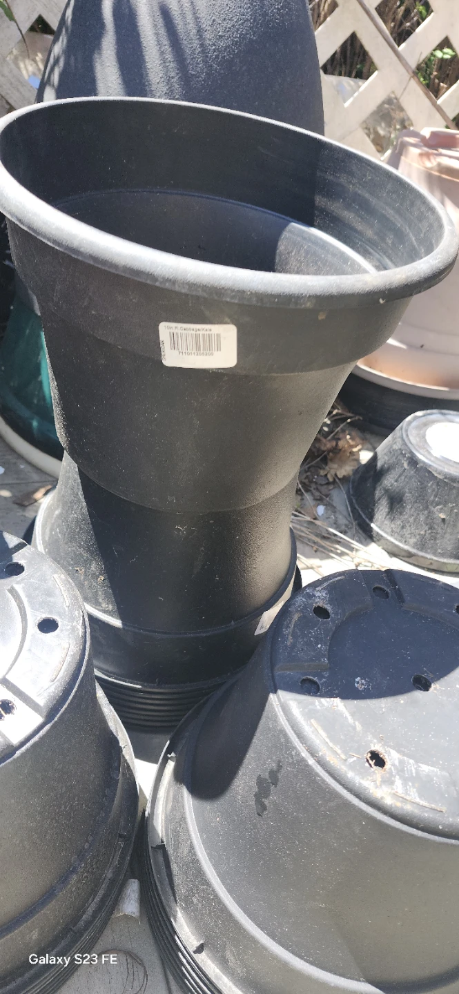 Black Plastic Planter Pot. 10"- 3 dollars Each