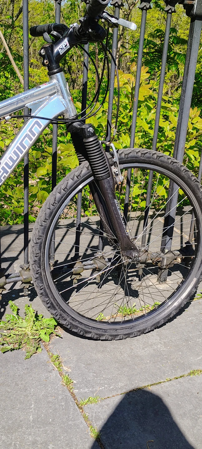 Schwinn Mountain Bike - photo 3