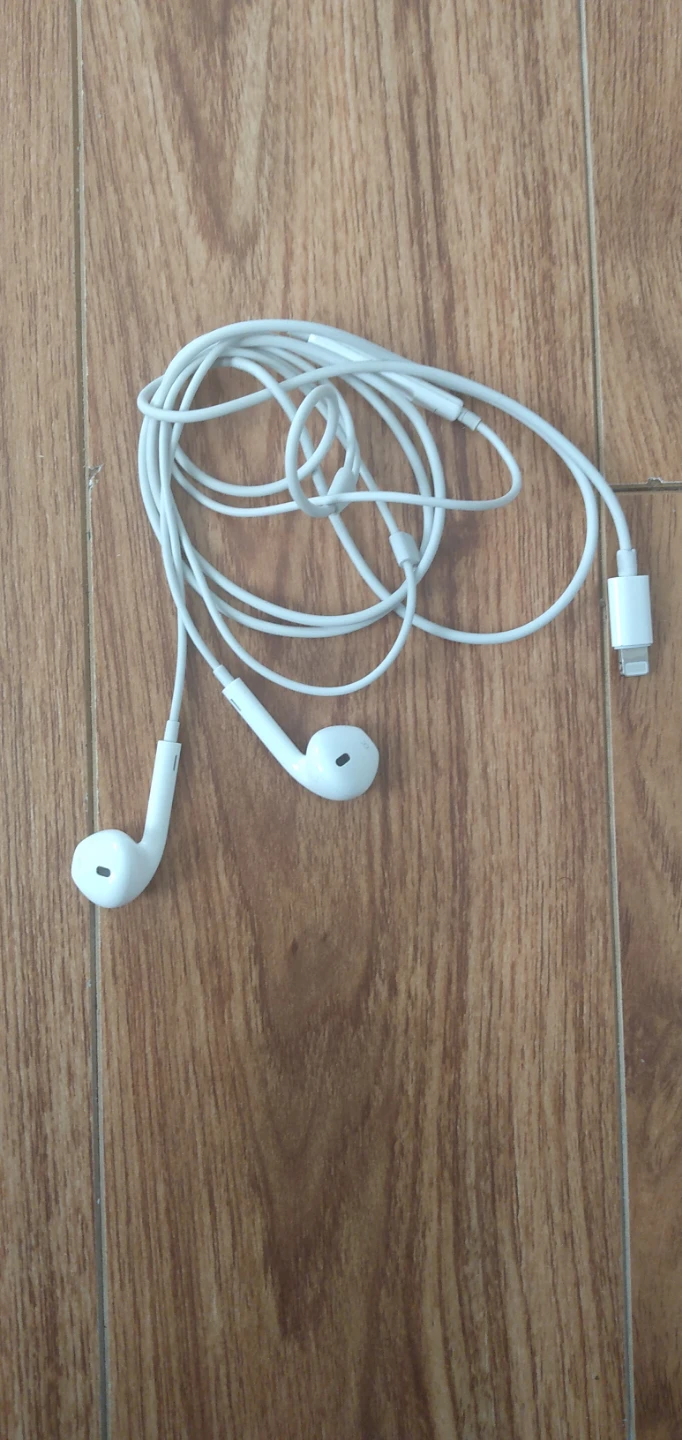 Apple EarPods with Lightning Connector