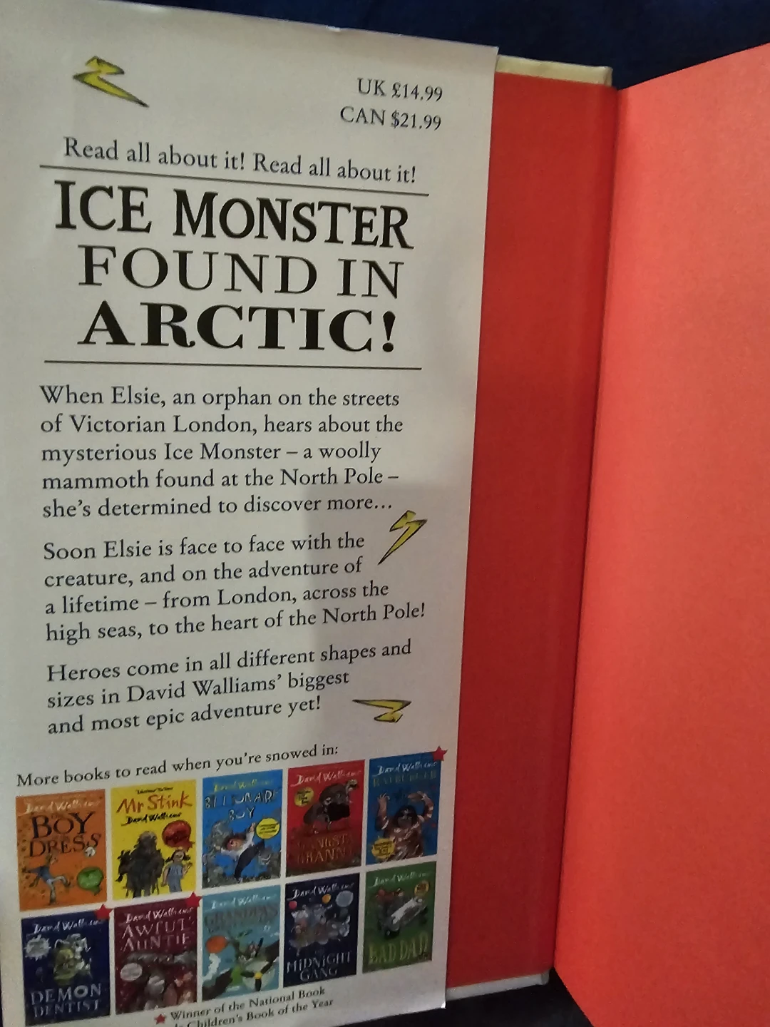The Ice Monster by David Walliams Children's Book - photo 2