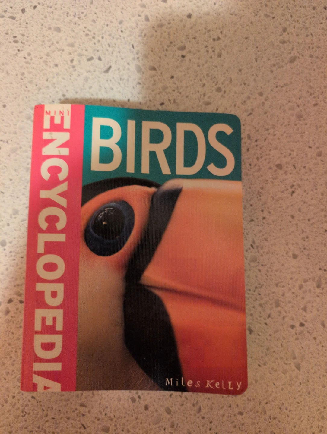 Mini Encyclopedia of Birds Book