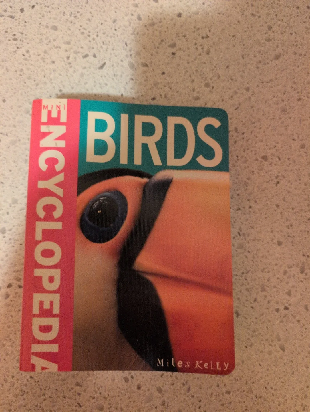 Mini Encyclopedia of Birds Book