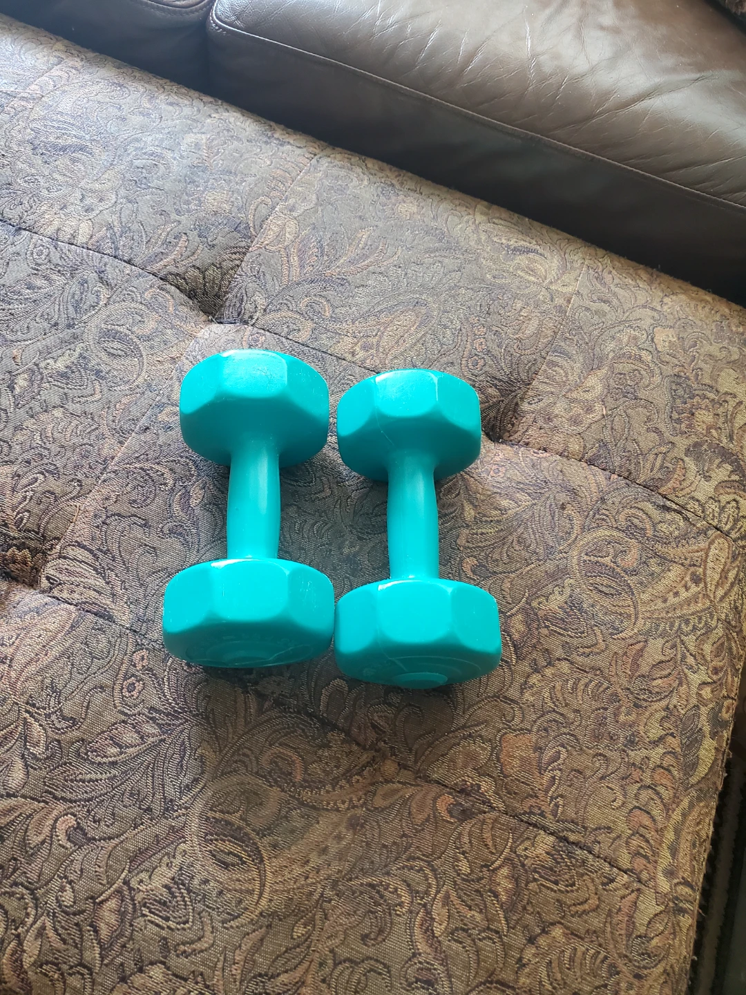 Teal Dumbbells (Pair) - photo 2