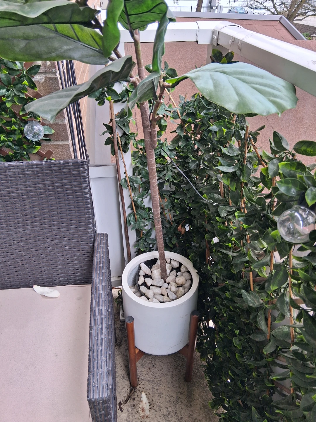 Artificial Fiddle Leaf Fig Tree in White Pot with Stand - photo 2