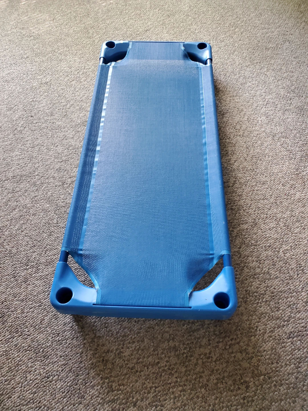 Blue Toddler Cot