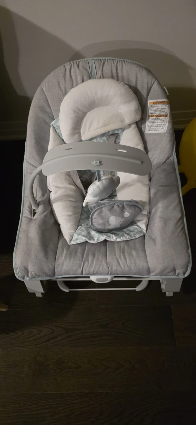 Ingenuity Baby Bouncer Seat - photo 2