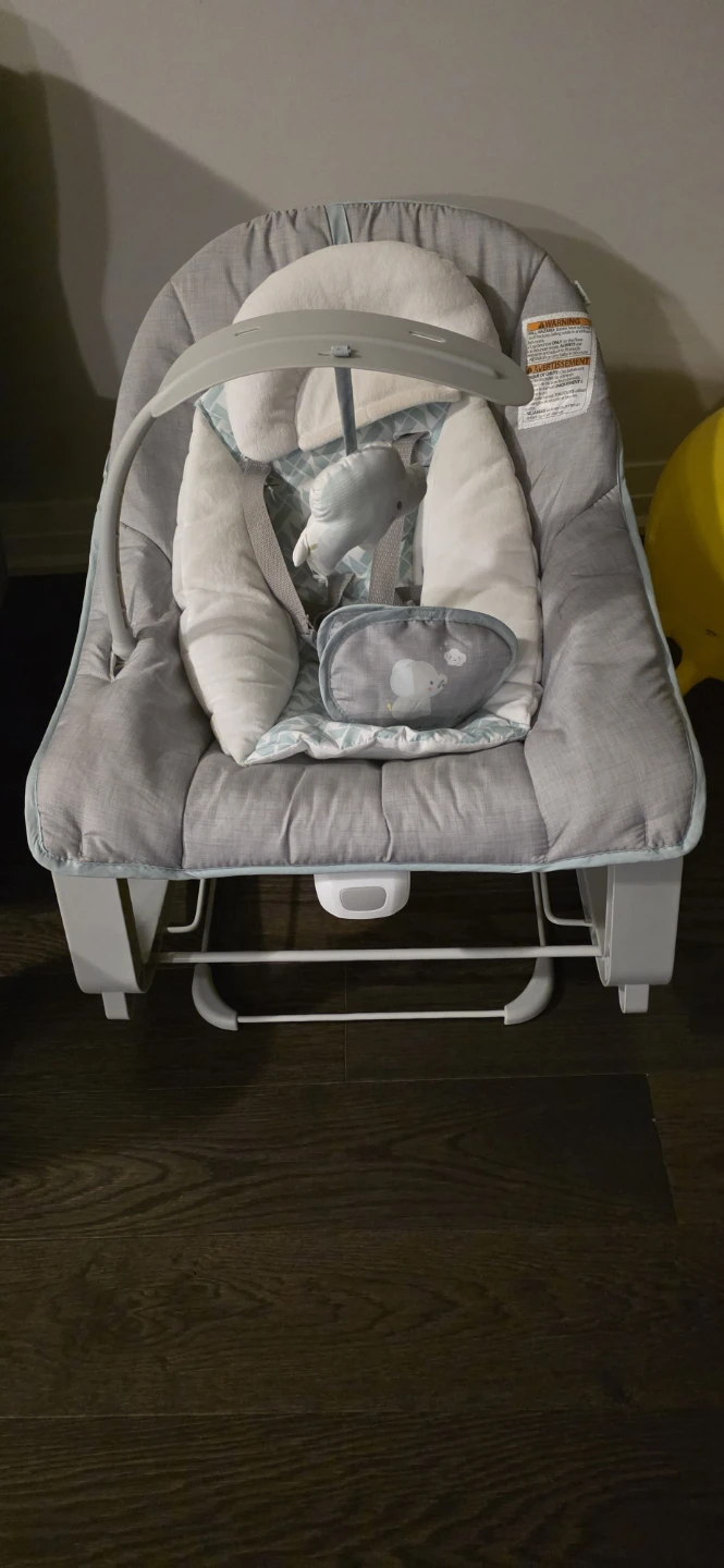 Ingenuity Baby Bouncer Seat - photo 3