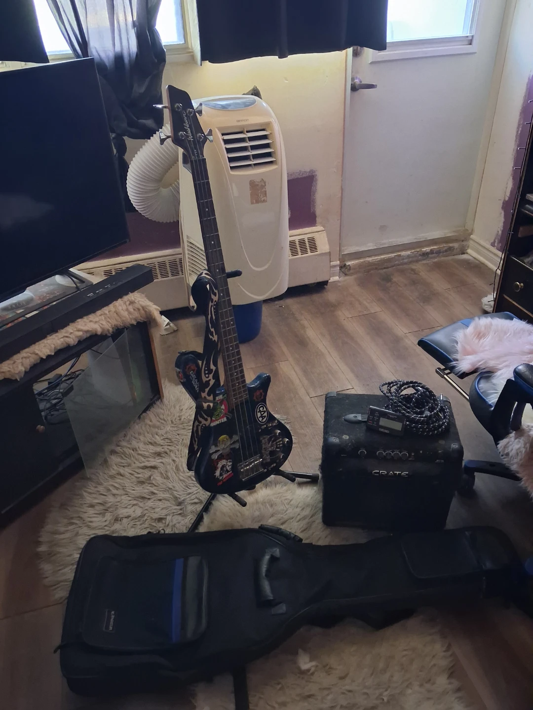 Washburn Bass Guitar with Amp and Case