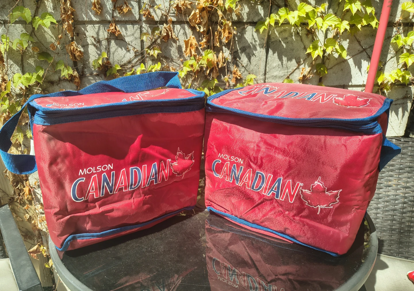 Molson Canadian Insulated Cooler Bag - photo 2