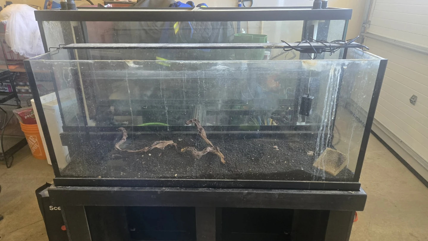 55 gallon Large Glass Aquarium with Black Stand - photo 5