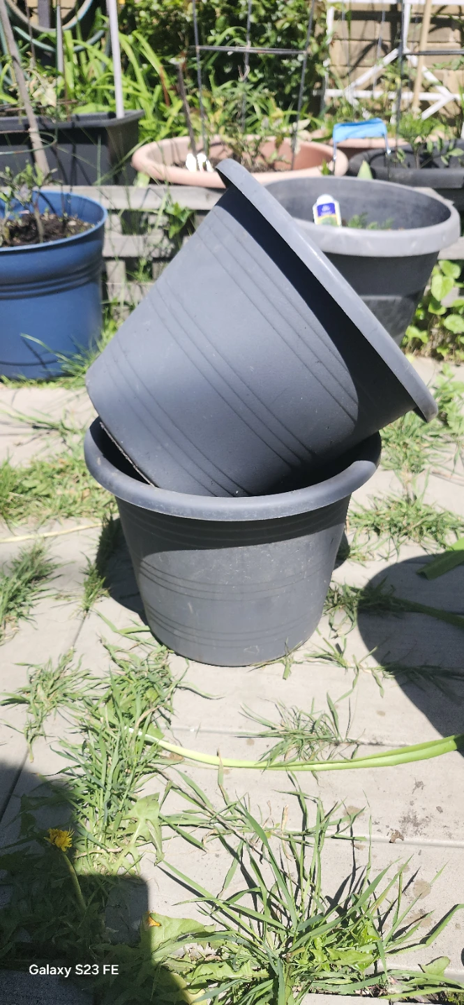 Grey Plastic Plant Pots. $3 Each