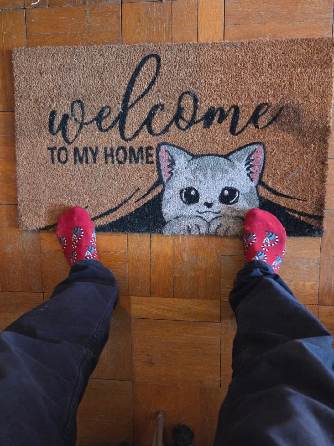 Welcome to My Home Cat Doormat