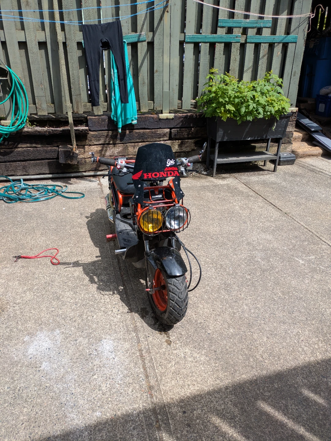 Custom Honda ruckus 5900 Kms - photo 4