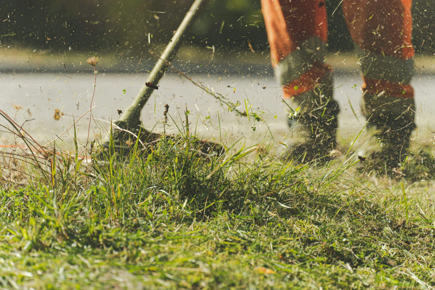 V.I.P. Landscaping Services - photo 2