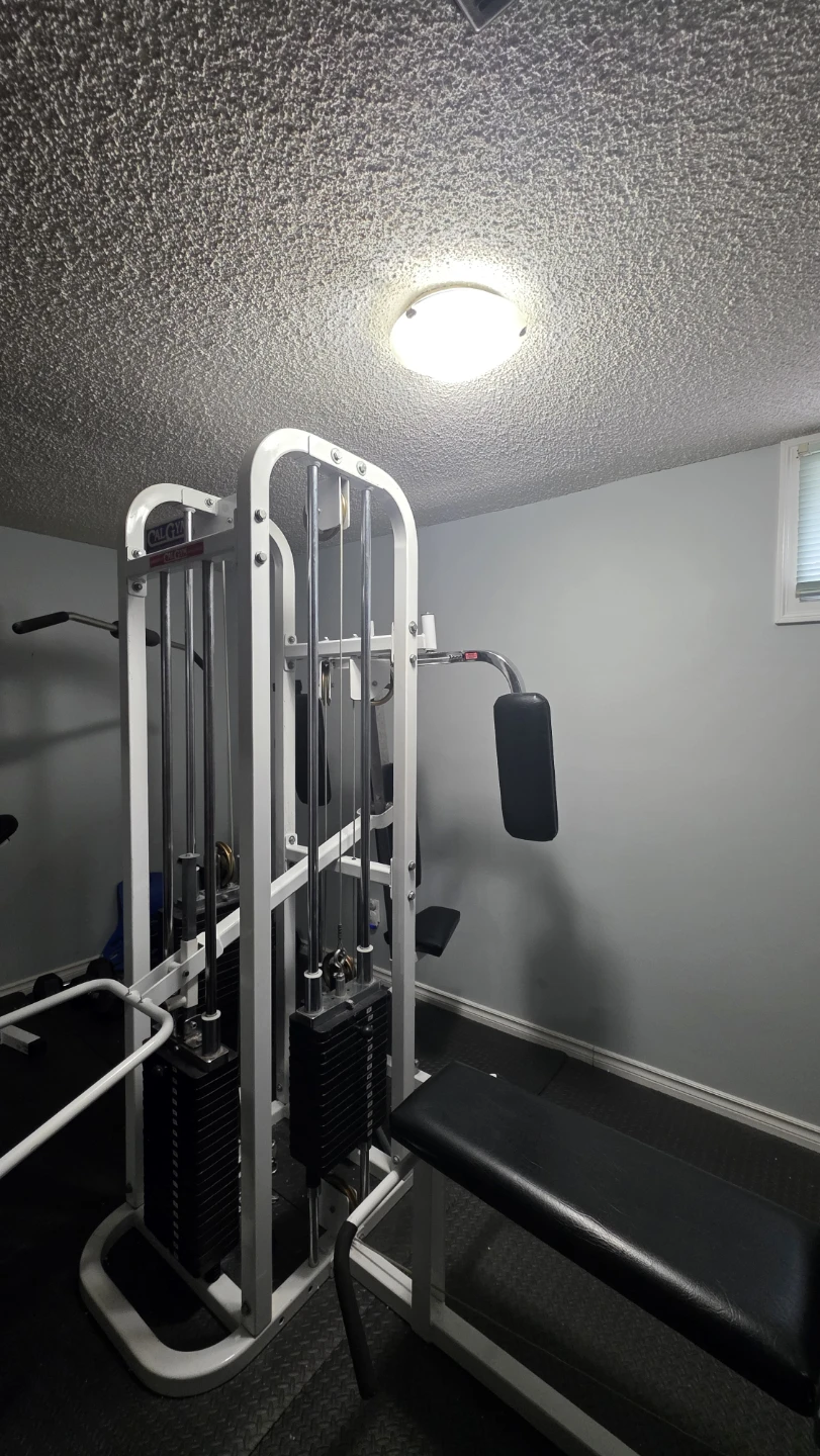CAL GYM Home Gym Machine - photo 2