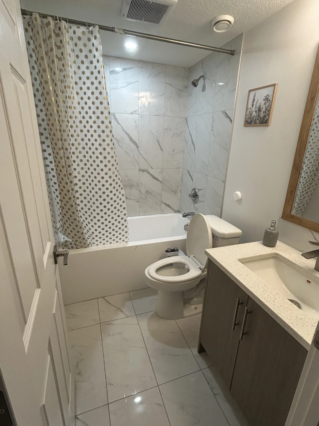 Complete Basement Suite with Kitchen and Bathroom - photo 5