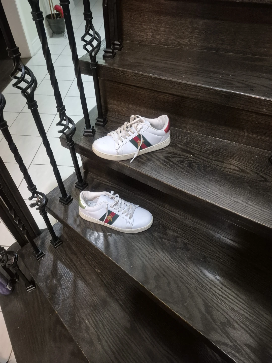 Gucci ace