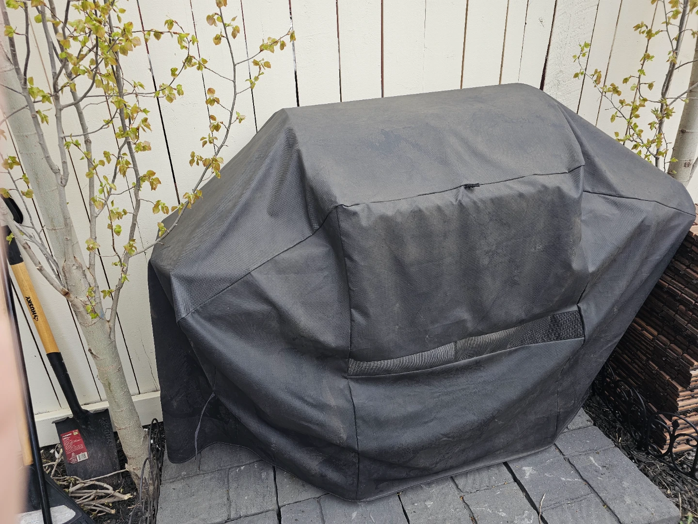 Backyard Grill Gas BBQ - photo 3