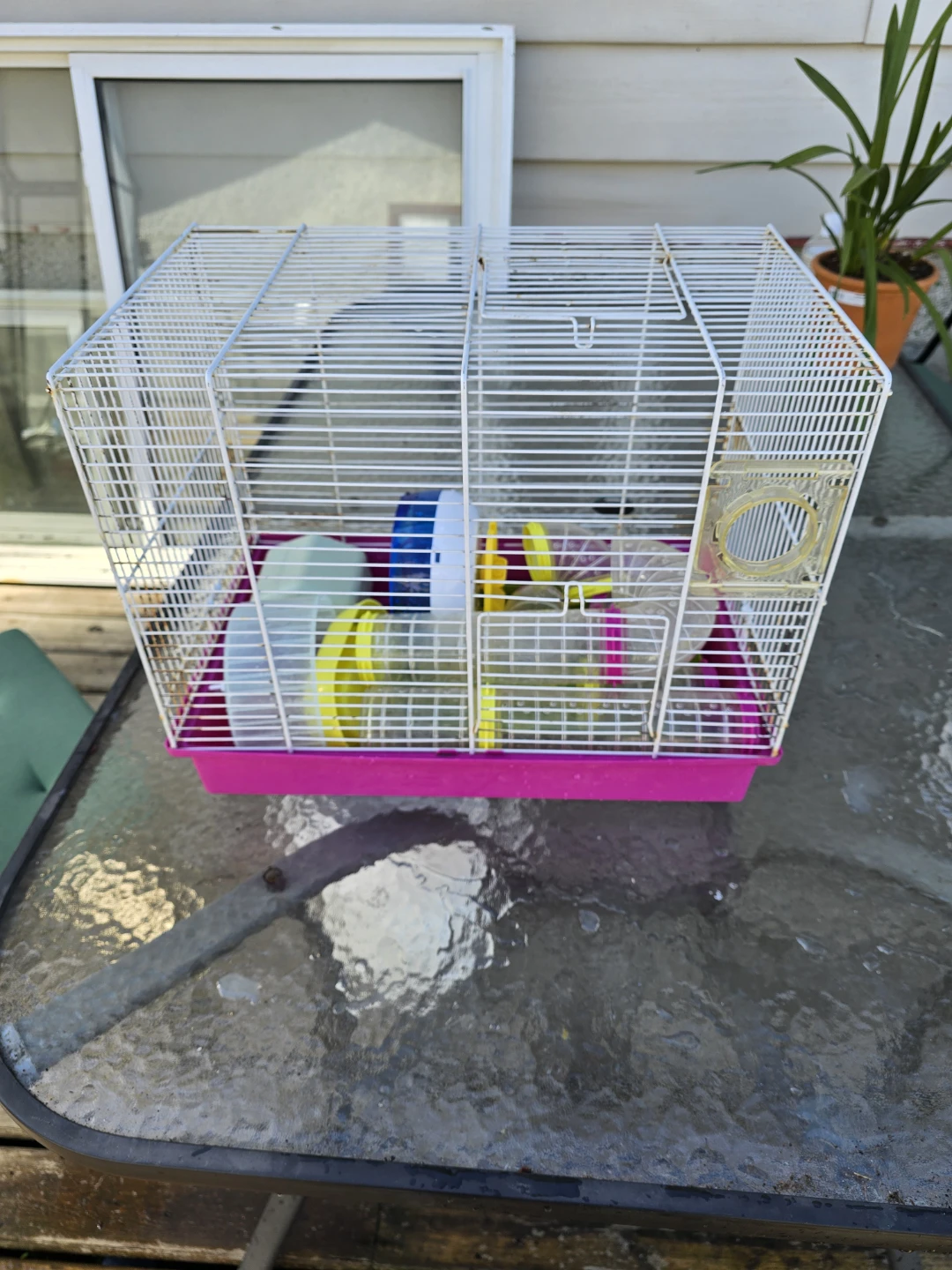 Complete Hamster cage