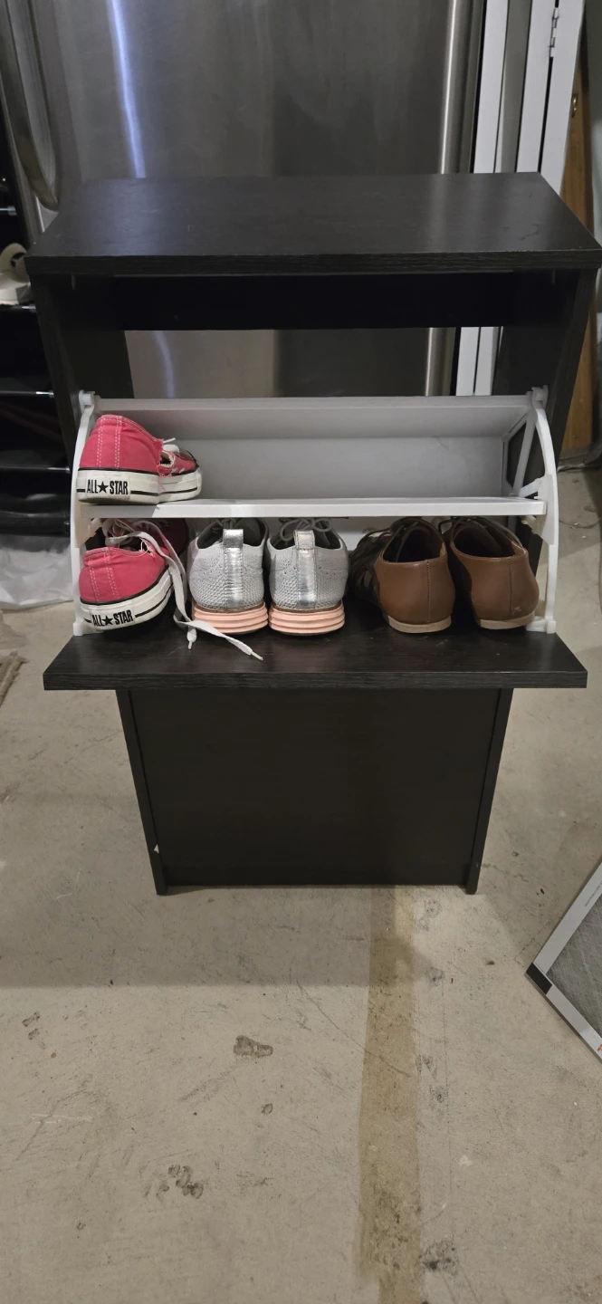 Dark Wood 2-Tier Shoe Cabinet