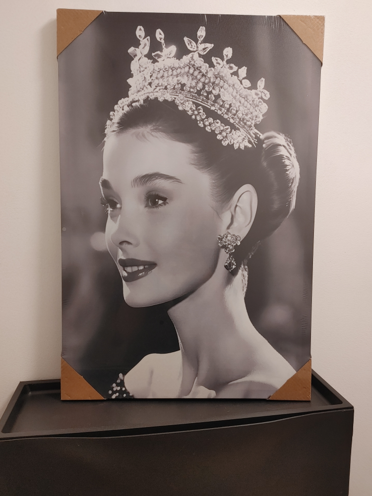 Audrey Hepburn canvas art print