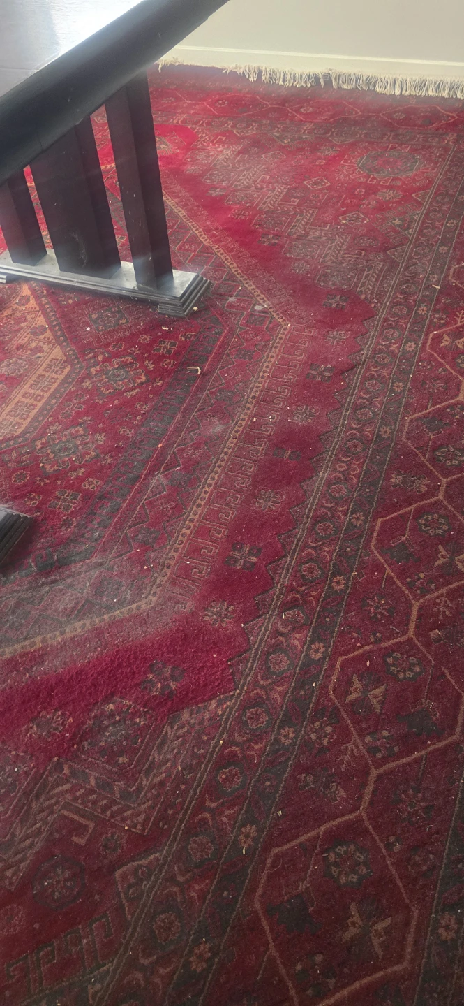 Red Area Rug - photo 2