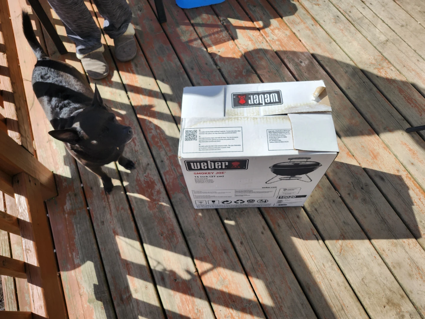 Bbqs - photo 4