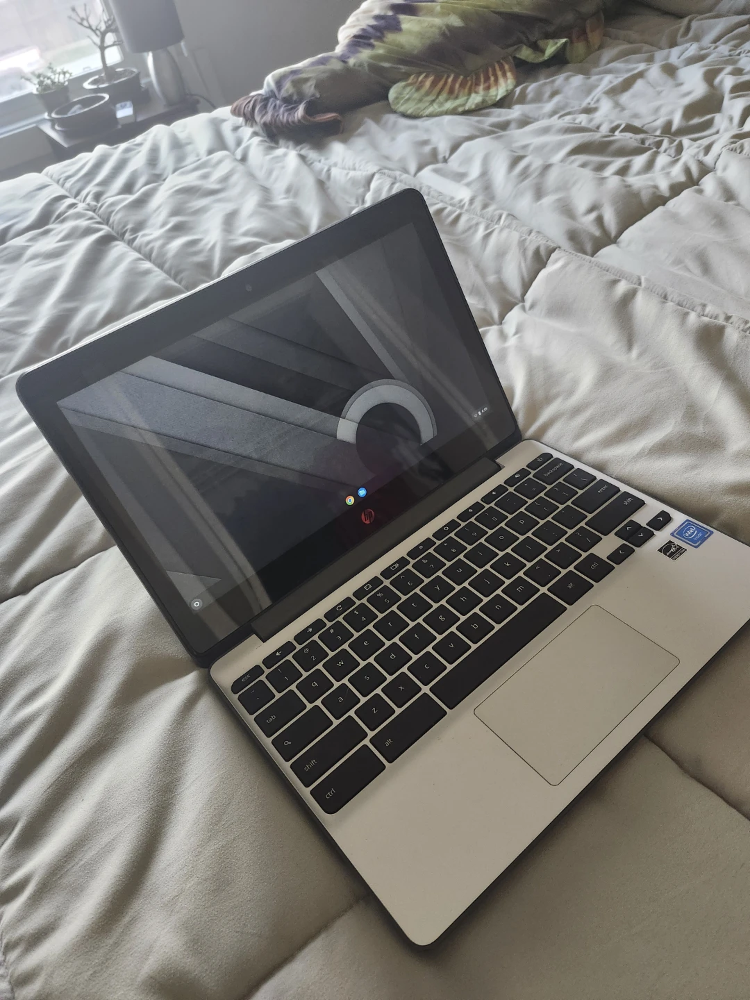 HP Chromebook 11 Laptop