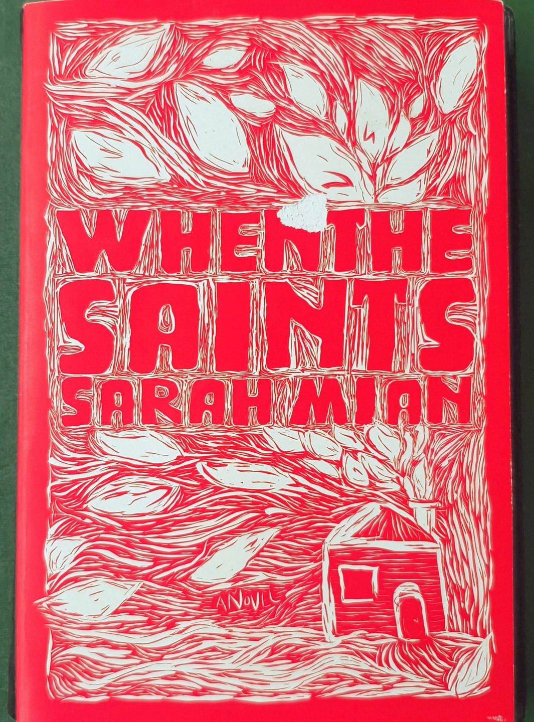 "When the Saints" Signed 1st edition Novel by Sarah Mian