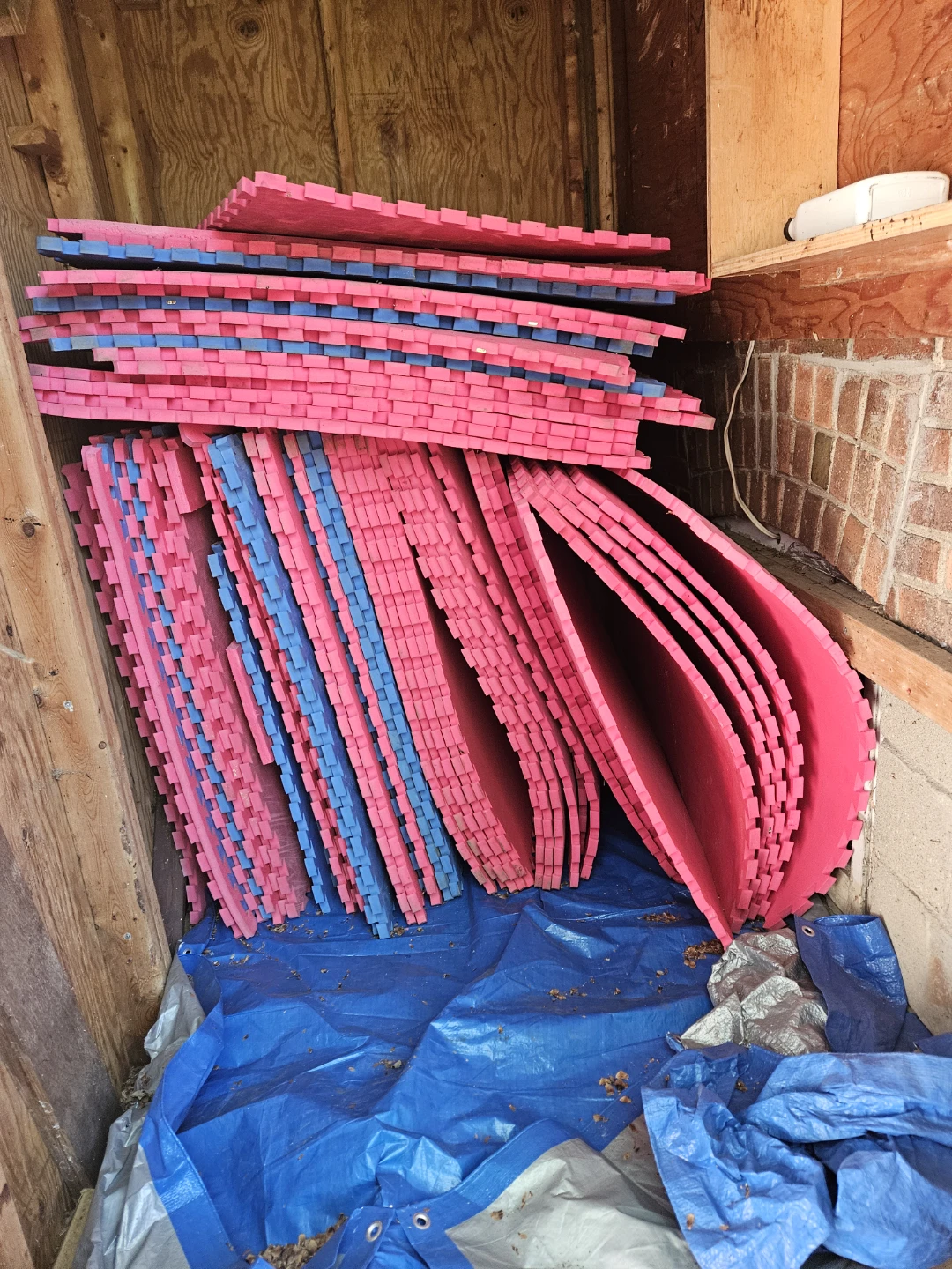 Interlocking Foam Floor Mats - Red and Blue