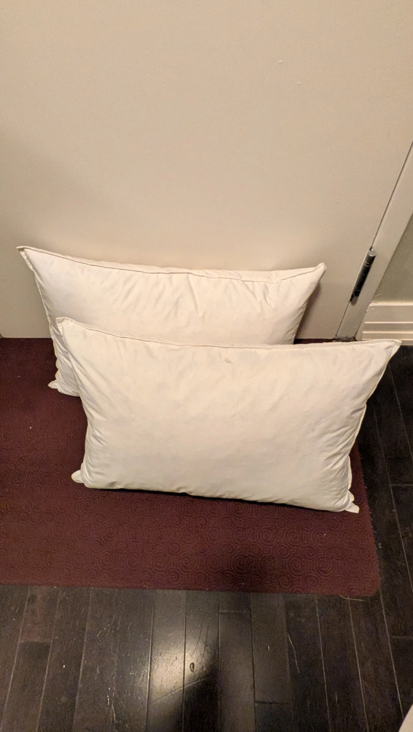 Two white feather pillows