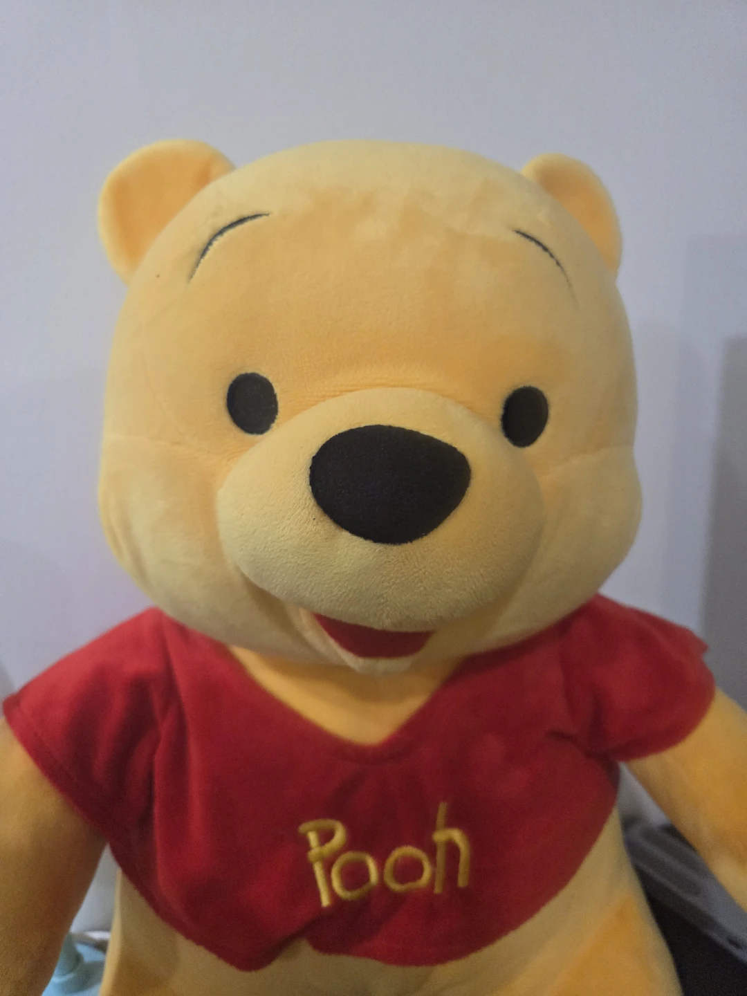 Winnie the Pooh Plush Toy