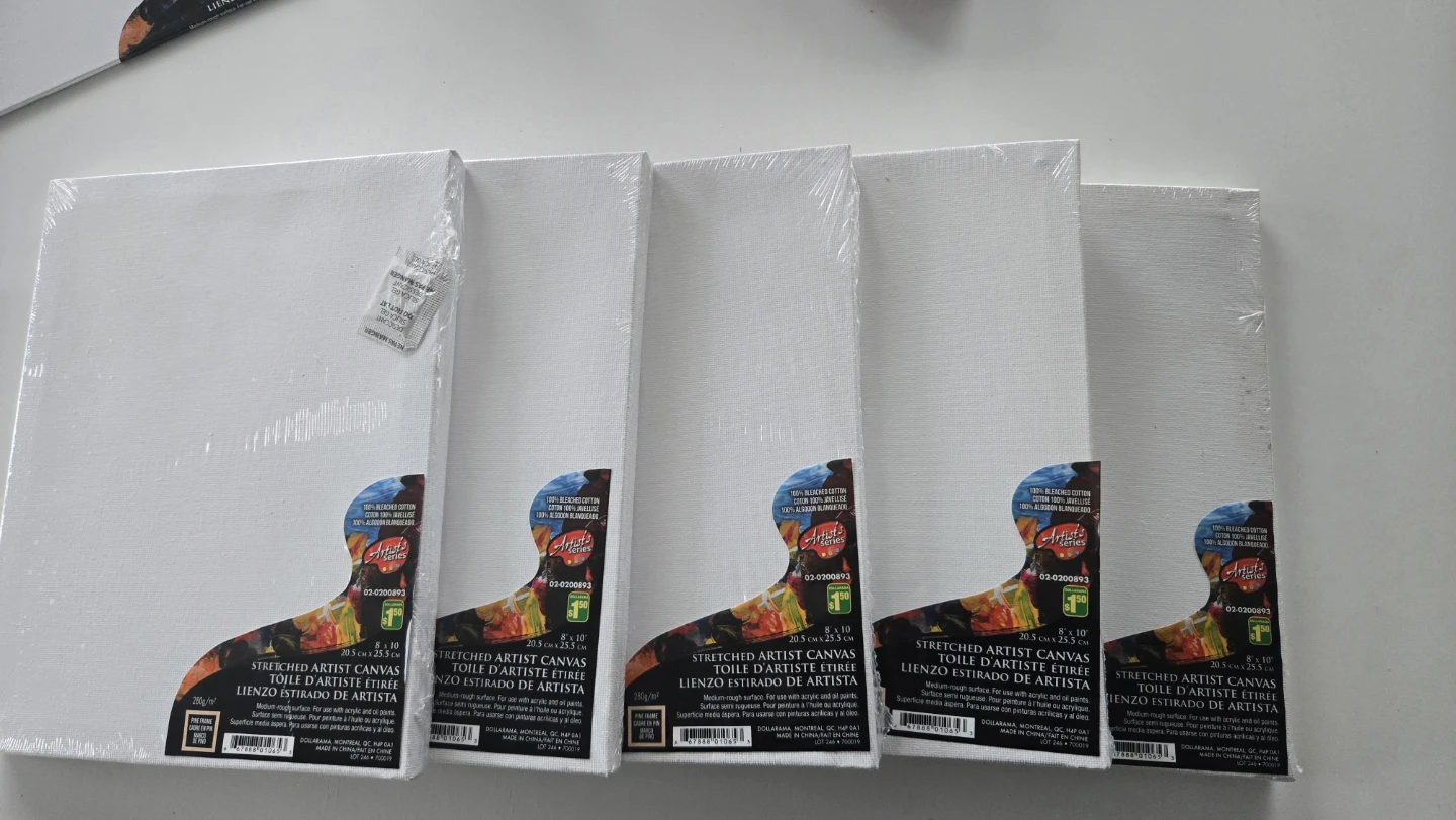Artist Series Stretched Canvas 8x10" (Pack of 5)