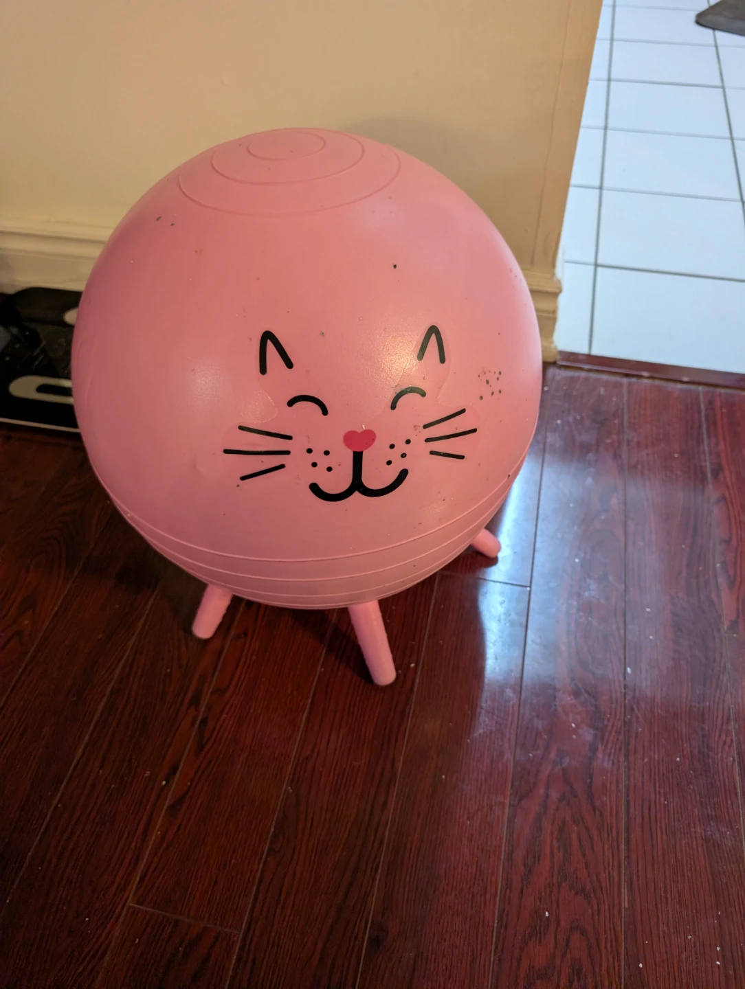 Pink Cat Hopper Ball